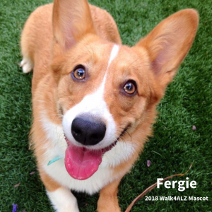 Fergie walk4alz pet mascot