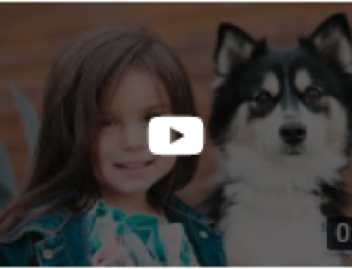 San Diego Gives is on TV