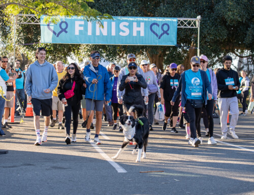Walk4ALZ 2025 Photos + Recap