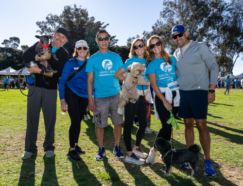 Walk Wednesday: Fundraising Tips