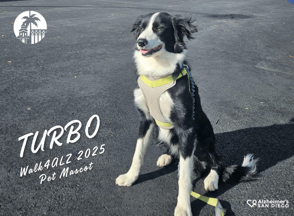 Meet the Walk4ALZ 2025 Pet Mascot, Turbo! - Alzheimer's San Diego