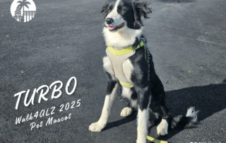 Meet the Walk4ALZ 2025 Pet Mascot, Turbo!