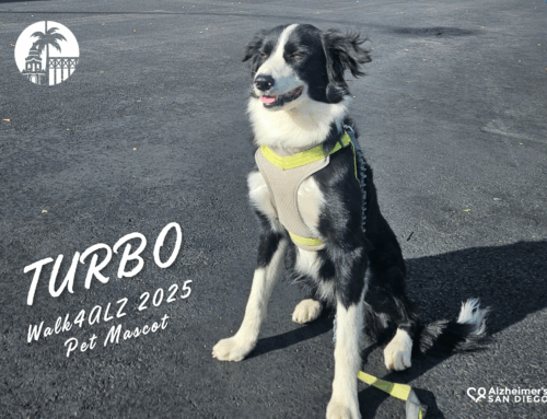 Meet the Walk4ALZ 2025 Pet Mascot, Turbo!