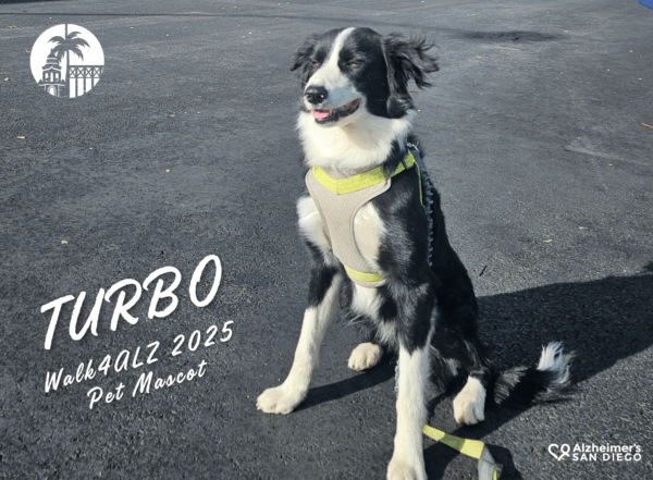 Meet the Walk4ALZ 2025 Pet Mascot, Turbo!