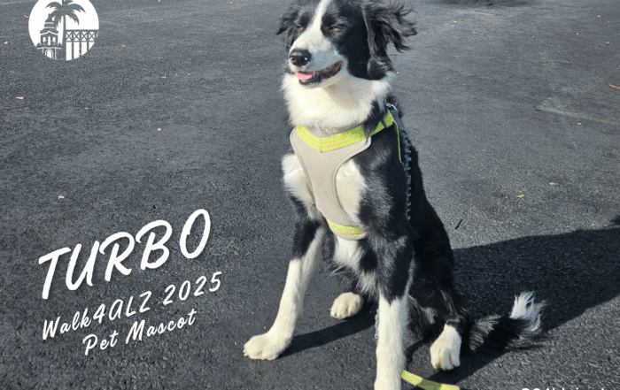 Meet the Walk4ALZ 2025 Pet Mascot, Turbo!