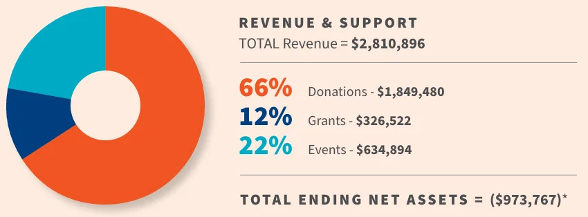 2025-revenue-and-support