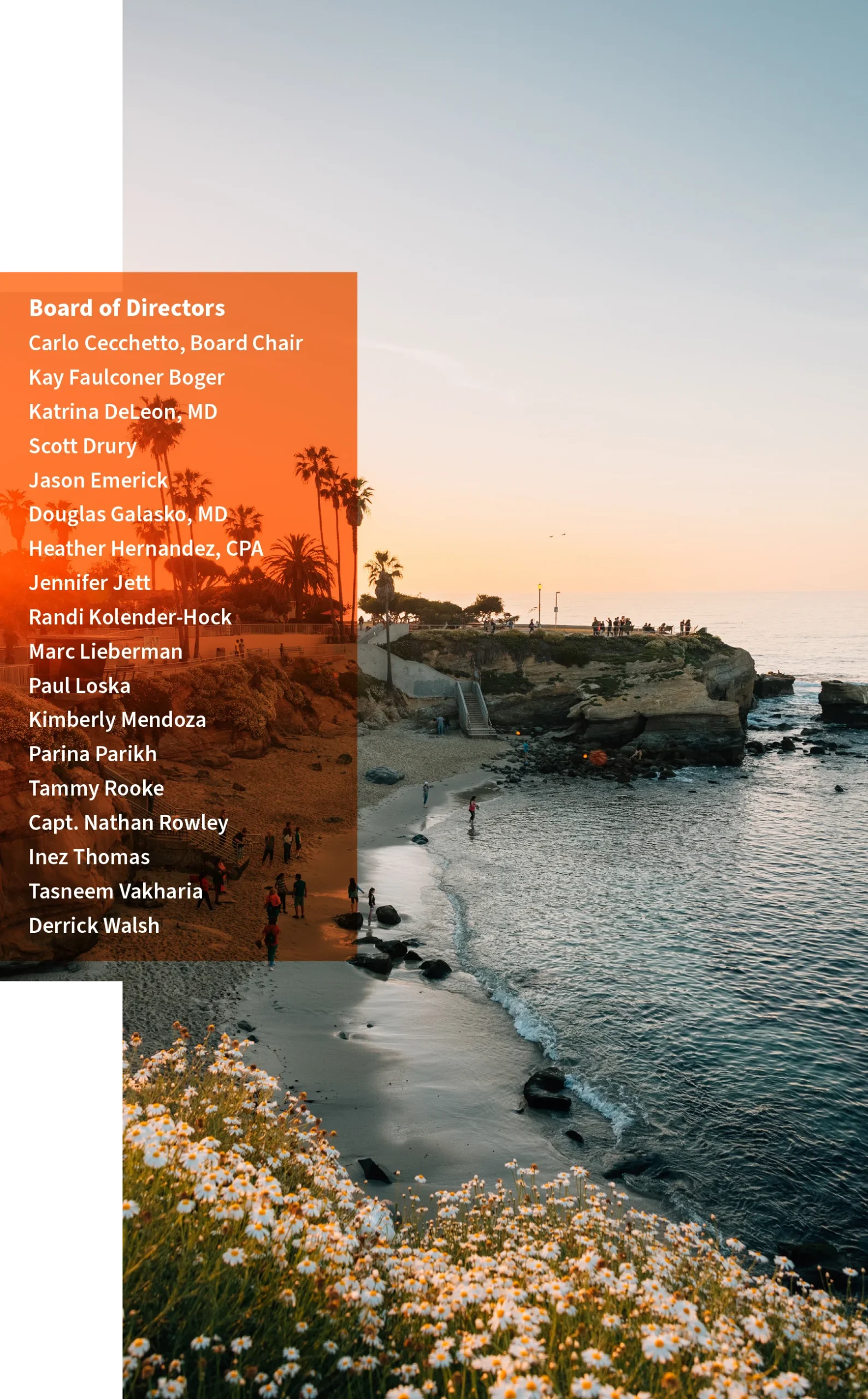 alzsd-annual-report-2025-board-of-directors