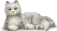 Companion Pet – Cat, gray