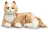 Companion Pet – Cat, orange