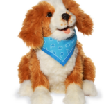 Companion Pet – Dog