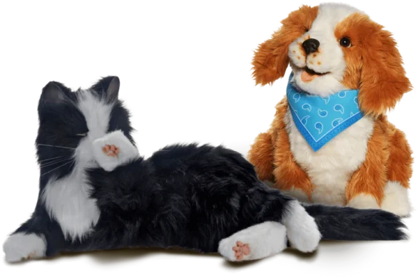 Pets-1-768×510 Companion Pets