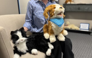 What are Companion Pets?