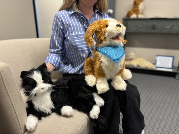 What are Companion Pets?