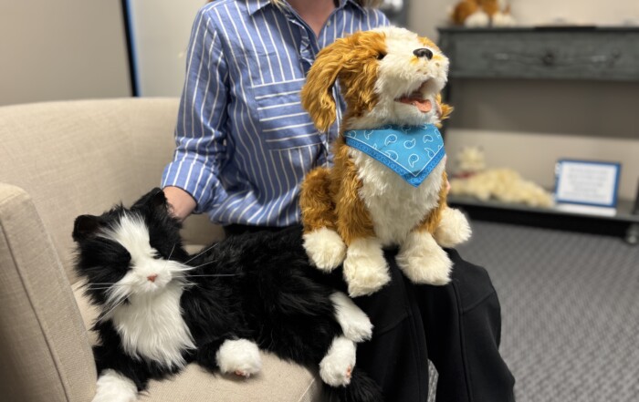 What are Companion Pets?