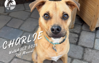 Meet the Walk4ALZ 2026 Pet Mascot, Charlie!