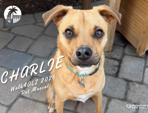 Meet the Walk4ALZ 2026 Pet Mascot, Charlie!