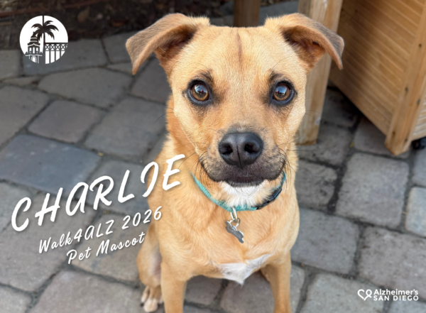 Meet the Walk4ALZ 2026 Pet Mascot, Charlie!