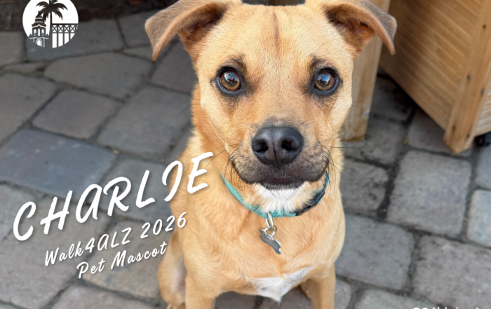 Meet the Walk4ALZ 2026 Pet Mascot, Charlie!